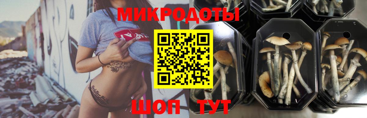 Майский  Галлюциногенные грибы мухоморы  Галлюциногенные грибы Magic Shrooms  Вход с VPN 